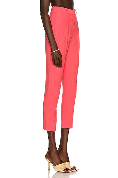 Shop Alexander Mcqueen Tailored Pant In Coral