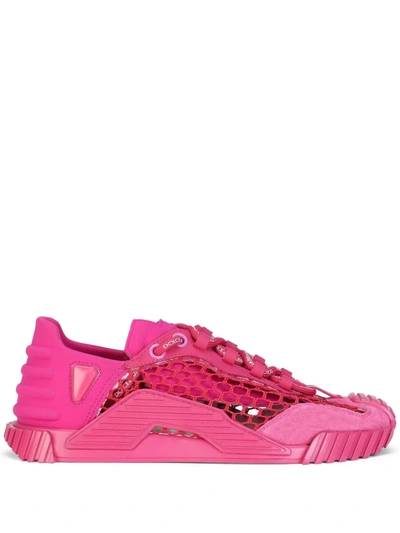 Shop Dolce & Gabbana Mesh-panelled Low-top Sneakers In Pink