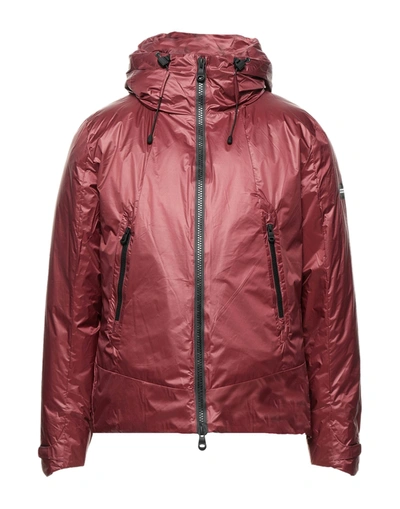 Shop Alessandro Dell'acqua Man Jacket Burgundy Size 36 Nylon In Red