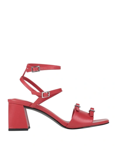 Shop What For Woman Sandals Red Size 10 Calfskin