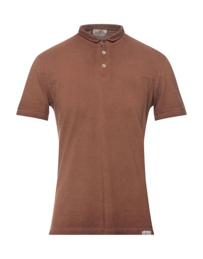 Shop Brooksfield Man Polo Shirt Brown Size 40 Cotton