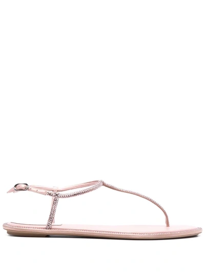 Shop René Caovilla Diana Crystal-embellished Sandals In Pink