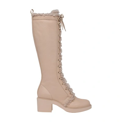 Shop Gianvito Rossi Noth Boots In Mousse