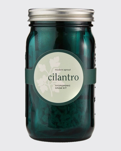 Shop Modern Sprout Garden Jar - Cilantro