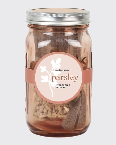 Shop Modern Sprout Parsley Garden Jar