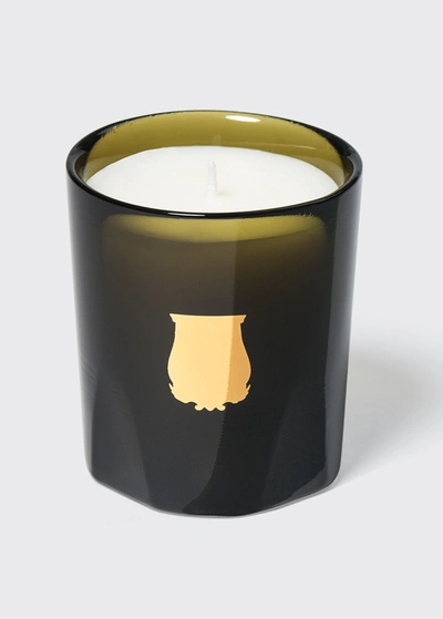 Shop Trudon Ernesto Petit Candle, Leather And Tobacco