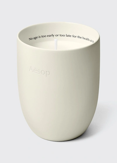 Shop Aesop 11.6 Oz. Aganice Candle