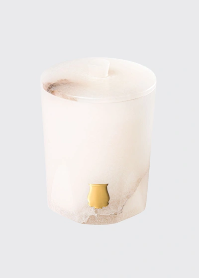 Shop Trudon Ernesto Alabaster Collection, Leather And Tobacco