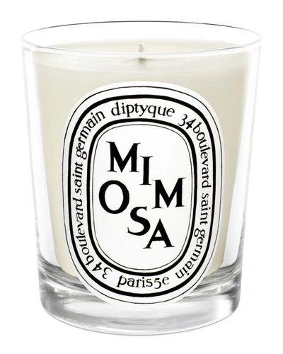 Shop Diptyque Mimosa Scented Candle, 6.5 Oz.