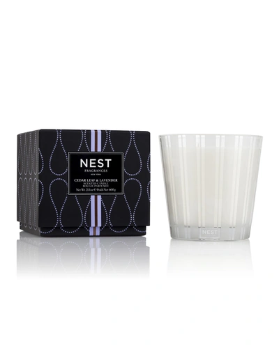 Shop Nest New York Cedar Leaf & Lavender 3-wick Candle, 21.2 Oz.
