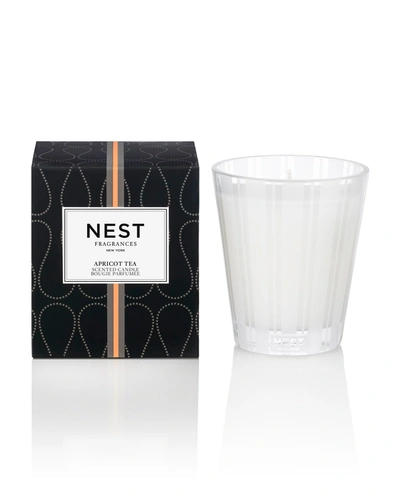 Shop Nest New York Apricot Tea Classic Scented Candle, 8.1 Oz.