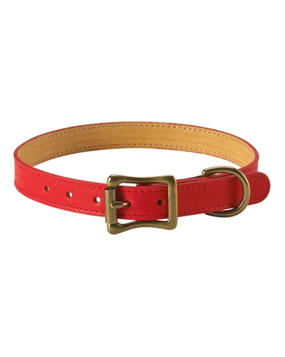 Shop Graphic Image Personalized Medium Dog Collar In Red