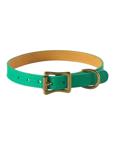 Shop Graphic Image Personalized Medium Dog Collar In Green