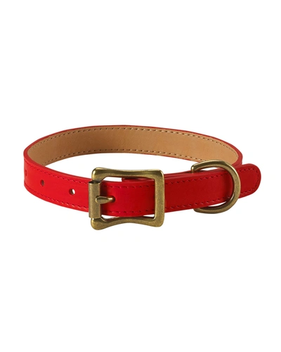 Shop Graphic Image Personalized Small Dog Collar In Red