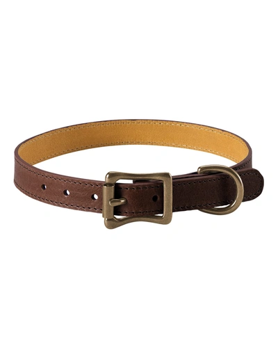Shop Graphic Image Personalized Medium Dog Collar In Brown