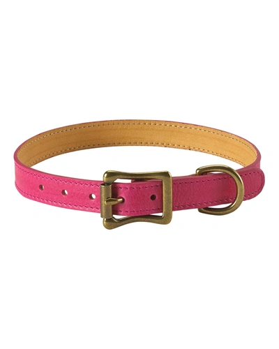 Shop Graphic Image Personalized Medium Dog Collar In Pink