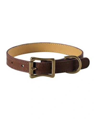 Shop Graphic Image Personalized Small Dog Collar In Brown