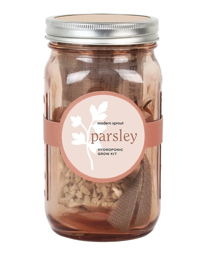 Shop Modern Sprout Parsley Garden Jar