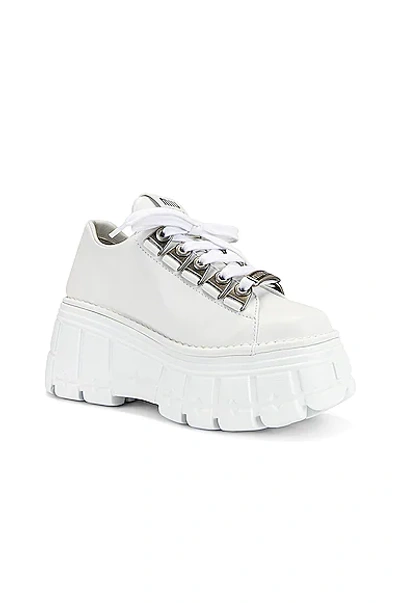 Shop Miu Miu Lace Up Platform Sneakers In Bianco