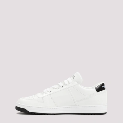 Shop Prada Downtown Sneakers Shoes In White