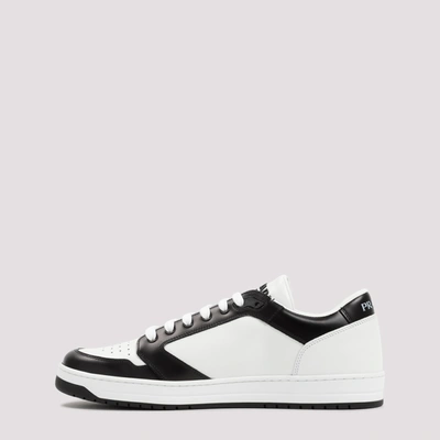 Shop Prada Downtown Sneakers Shoes In White