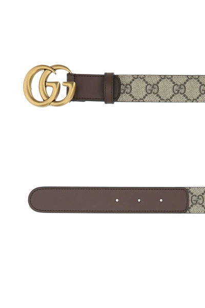Shop Gucci Gg Supreme Fabric Belt  Printed  Donna 80