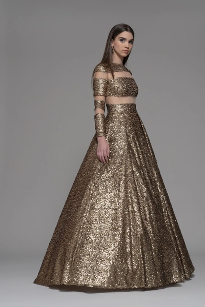 Shop Isabel Sanchis Falerone Cage Gown In Gold