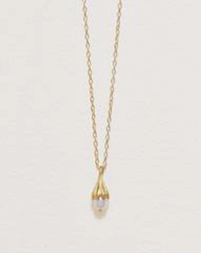 Shop Pamela Love Anemone Pearl Pendant In Gold/white