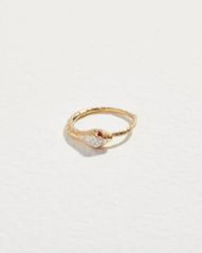 Pamela Love Piercing 11mm Serpent Ruby Clicker In Gold/red