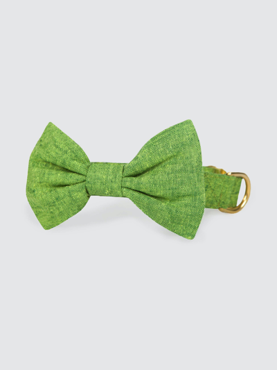 Shop The Foggy Dog Palm Bow Tie Collar In Green
