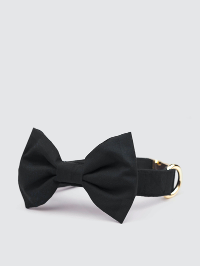 Shop The Foggy Dog Onyx Bow Tie Collar In Black