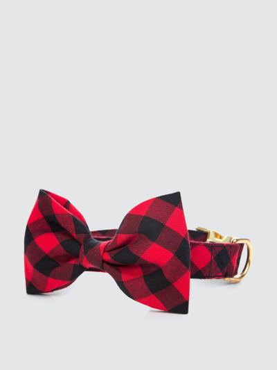 Shop The Foggy Dog Red And Black Buffalo Check Bow Tie Collar