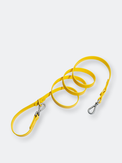 Shop Wild One Leash In Yellow