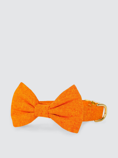Shop The Foggy Dog Satsuma Bow Tie Collar In Orange