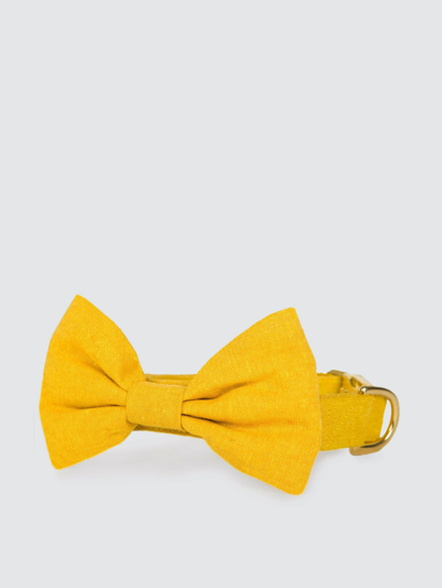 Shop The Foggy Dog Sunflower Bow Tie Collar In Gold
