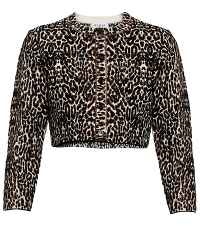 Shop Alaïa Leopard-print Jacquard Cardigan In Noir/ivoire