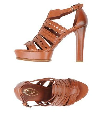 Shop Tod's In Brown