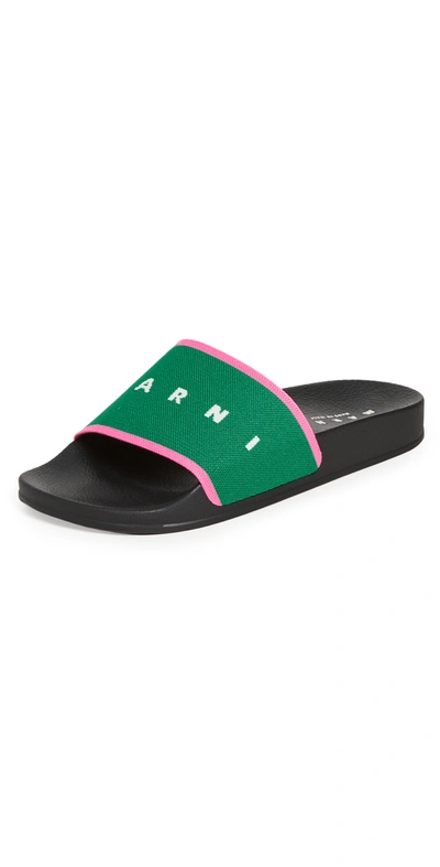 Shop Marni Pool Slides In Garden Green