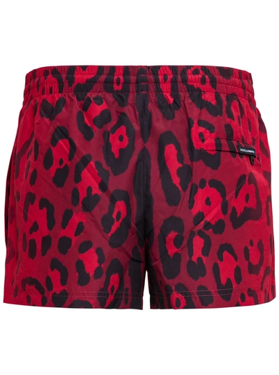 Shop Dolce & Gabbana Animalier Swim Shorts In Red