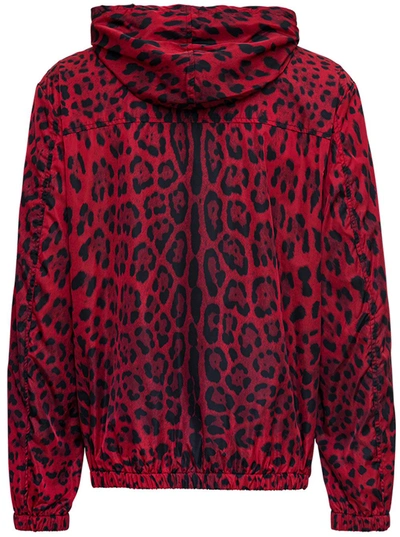 Shop Dolce & Gabbana Red Nylon Animal Print Jacket
