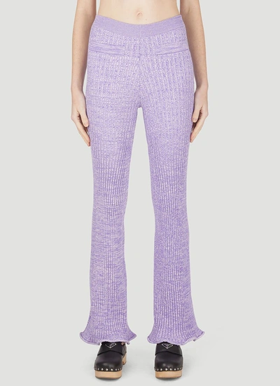 Shop Paco Rabanne Ribbed Knit Pants In Purple