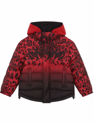 Dolce & Gabbana Reversible Leopard-print Padded Coat In Black
