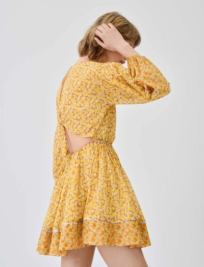 Maje Floral Cotton Voile Dress In Orange | ModeSens