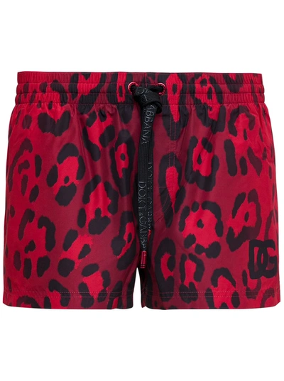 Shop Dolce & Gabbana Animalier Swim Shorts In Red