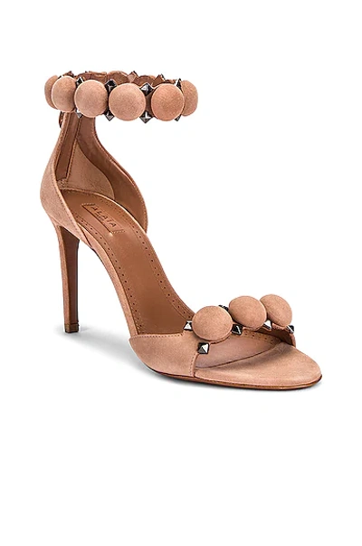 Shop Alaïa La Bombe Ankle Bracelet Sandals In Chair