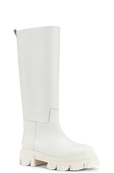 Shop Gia Borghini X Pernille Teisbaek Tubular Combat Boot In White