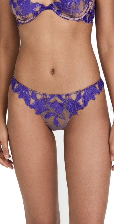 Shop Fleur Du Mal Lily Embroidery Hipster Thong In Pansy