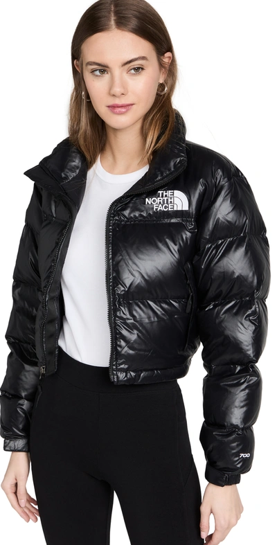 Logo-print Cropped Feather-down Puffer Jacket In Black