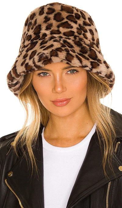 Shop Adrienne Landau Faux Fur Bucket Hat In Brown