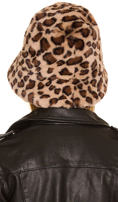 Shop Adrienne Landau Faux Fur Bucket Hat In Brown